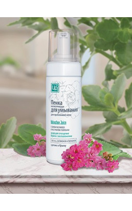 Пенка для умывания Kalanchoe Juice Пенка для умывания Kalanchoe Juice